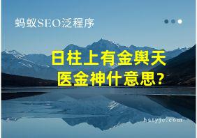 日柱上有金舆天医金神什意思?