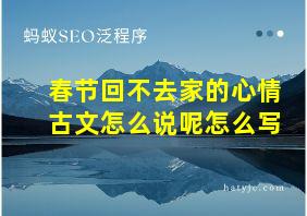 春节回不去家的心情古文怎么说呢怎么写