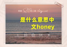 是什么意思中文honey