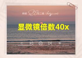 显微镜倍数40x