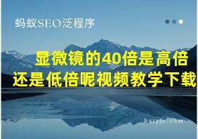 显微镜的40倍是高倍还是低倍呢视频教学下载