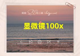 显微镜100x