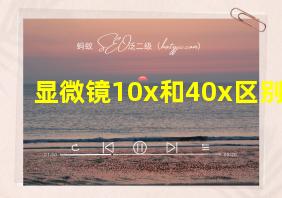 显微镜10x和40x区别