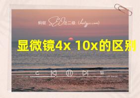 显微镜4x 10x的区别