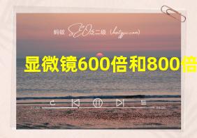 显微镜600倍和800倍