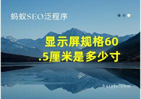 显示屏规格60.5厘米是多少寸