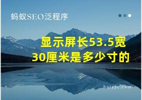 显示屏长53.5宽30厘米是多少寸的