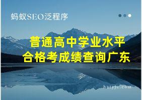 普通高中学业水平合格考成绩查询广东