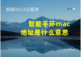 智能手环mac地址是什么意思