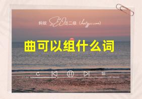 曲可以组什么词