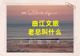 曲江文旅老总叫什么