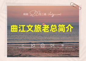 曲江文旅老总简介