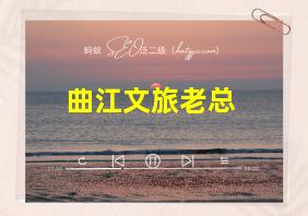 曲江文旅老总