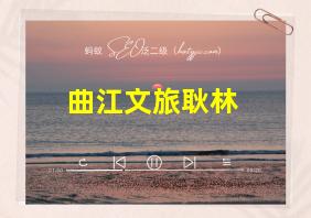 曲江文旅耿林