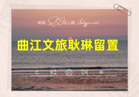 曲江文旅耿琳留置