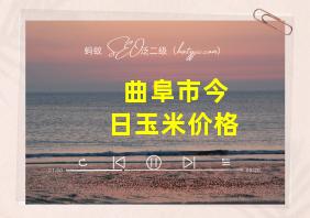 曲阜市今日玉米价格