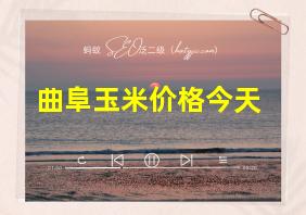 曲阜玉米价格今天