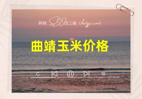 曲靖玉米价格