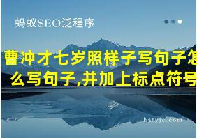 曹冲才七岁照样子写句子怎么写句子,并加上标点符号