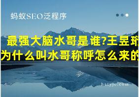 最强大脑水哥是谁?王昱珩为什么叫水哥称呼怎么来的?