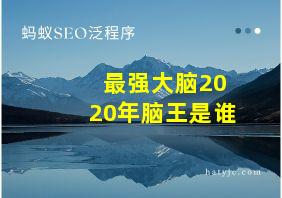 最强大脑2020年脑王是谁