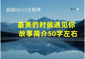 最美的时候遇见你故事简介50字左右