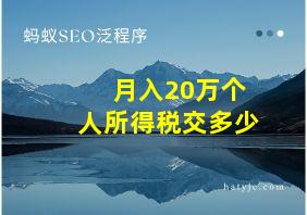 月入20万个人所得税交多少