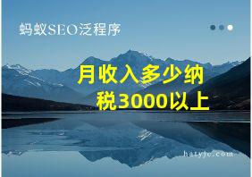 月收入多少纳税3000以上