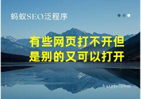 有些网页打不开但是别的又可以打开