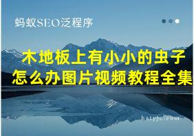 木地板上有小小的虫子怎么办图片视频教程全集