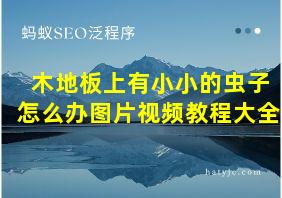 木地板上有小小的虫子怎么办图片视频教程大全