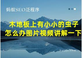 木地板上有小小的虫子怎么办图片视频讲解一下