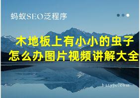 木地板上有小小的虫子怎么办图片视频讲解大全