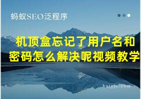 机顶盒忘记了用户名和密码怎么解决呢视频教学