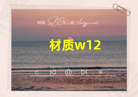 材质w12