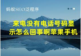 来电没有电话号码显示怎么回事啊苹果手机