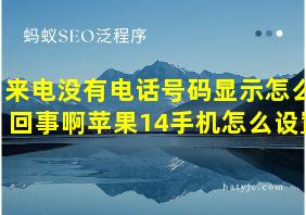 来电没有电话号码显示怎么回事啊苹果14手机怎么设置