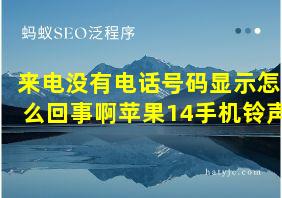 来电没有电话号码显示怎么回事啊苹果14手机铃声