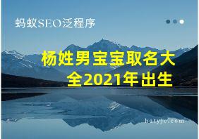 杨姓男宝宝取名大全2021年出生