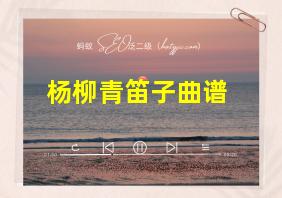 杨柳青笛子曲谱