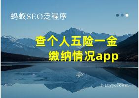 查个人五险一金缴纳情况app