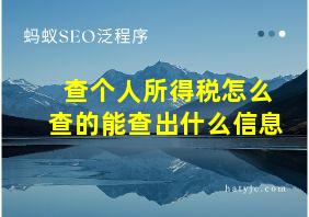 查个人所得税怎么查的能查出什么信息