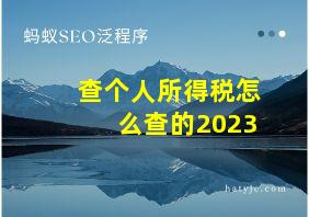 查个人所得税怎么查的2023