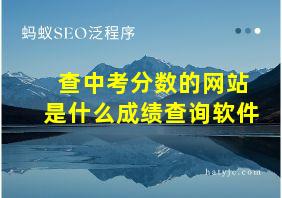 查中考分数的网站是什么成绩查询软件