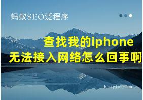 查找我的iphone无法接入网络怎么回事啊