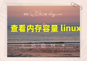 查看内存容量 linux