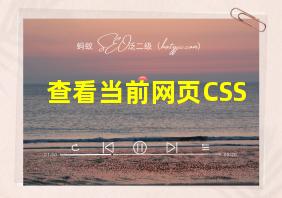 查看当前网页CSS