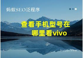 查看手机型号在哪里看vivo