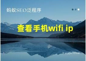 查看手机wifi ip