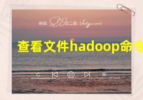 查看文件hadoop命令